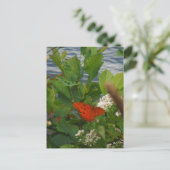 Orange und Black Butterfly am See Postkarte (Stehend Vorderseite)