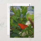 Orange und Black Butterfly am See Postkarte (Vorne/Hinten)