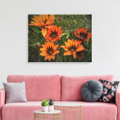 Orange und Black Gazanias Canvas Print Leinwanddruck (Insitu (Wohnzimmer))