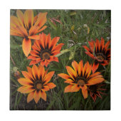 Orange und Black Gazanias Keramik Tile Fliese (Vorderseite)