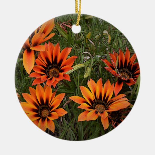 Orange und Black Gazanias Round Ornament (Vorne)