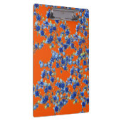 orange und blau klemmbrett (Rechts)