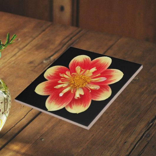 Orange und Gelb Collarette Dahlia Floral Fliese