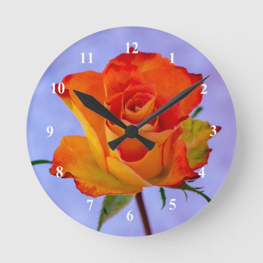 Orange und Gelb Rose Akryllische Wanduhr (Vorderseite)