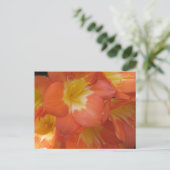 Orange- und Gelbblumen im Longwood Gardens, PA Postkarte (Stehend Vorderseite)