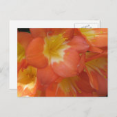 Orange- und Gelbblumen im Longwood Gardens, PA Postkarte (Vorne/Hinten)