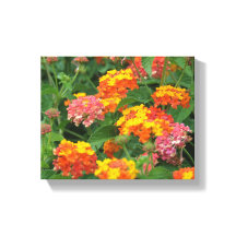 Orange- und Gelbblüten Gestrickte Canvas Printwerb