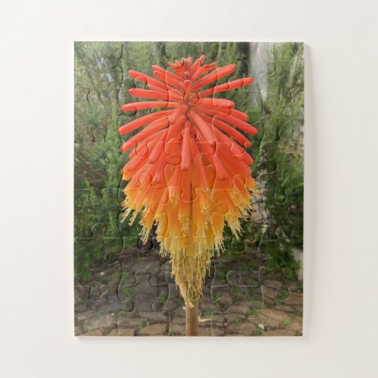 Orange und gelbe Blume Puzzle (Vertikal)