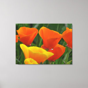 Orange und gelbe Blumen Leinwanddruck