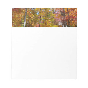 Orange und gelbe Herbstbäume - Herbstfotografie Notizblock