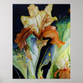 Orange und Gelbe Iris Print Poster (Vorne)