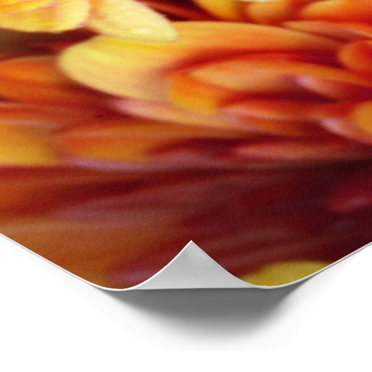 Orange und gelbe Mäuse Poster (Ecke)