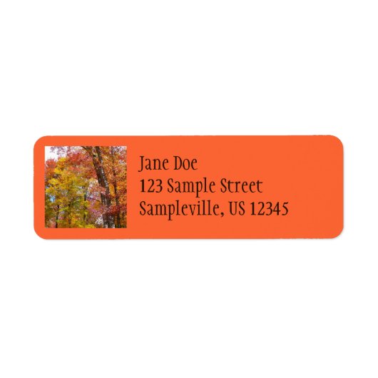 Orange- und Gelbfallbäume Herbstfotografie (Vorne)