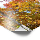 Orange- und Gelbfallbäume Herbstfotografie Fotodruck (Ecke)