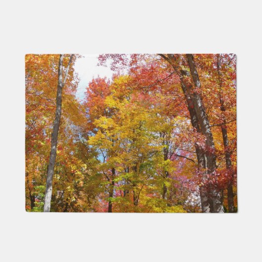 Orange- und Gelbfallbäume Herbstfotografie Fußmatte (Vorderseite)