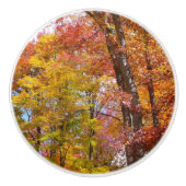 Orange- und Gelbfallbäume Herbstfotografie Keramikknauf (Vorderseite)