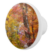 Orange- und Gelbfallbäume Herbstfotografie Keramikknauf (Rechts)