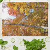 Orange- und Gelbfallbäume Herbstfotografie Küchentuch (Gefaltet)
