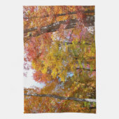 Orange- und Gelbfallbäume Herbstfotografie Küchentuch (Vertikal)