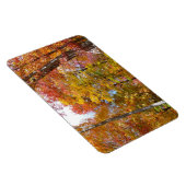 Orange- und Gelbfallbäume Herbstfotografie Magnet (Rechte Seite)