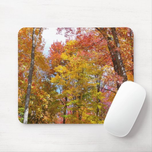 Orange- und Gelbfallbäume Herbstfotografie Mousepad (Mit Mouse)