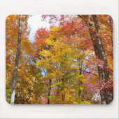 Orange- und Gelbfallbäume Herbstfotografie Mousepad (Vorne)
