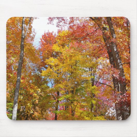 Orange- und Gelbfallbäume Herbstfotografie Mousepad (Vorne)