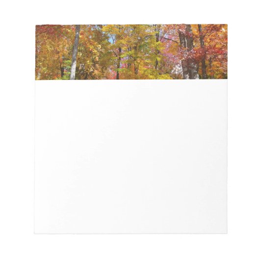 Orange- und Gelbfallbäume Herbstfotografie Notizblock (Vorderseite)