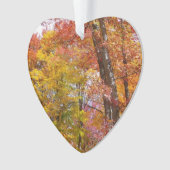 Orange- und Gelbfallbäume Herbstfotografie Ornament (Vorderseite)