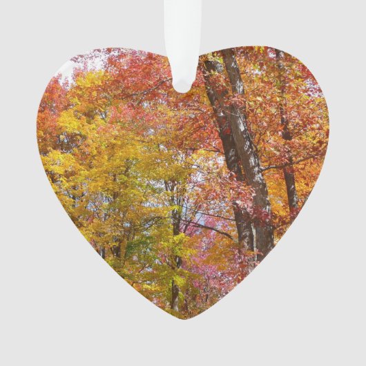 Orange- und Gelbfallbäume Herbstfotografie Ornament (Vorderseite)