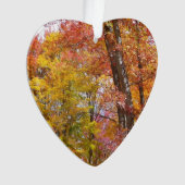 Orange- und Gelbfallbäume Herbstfotografie Ornament (Vorderseite)