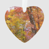 Orange- und Gelbfallbäume Herbstfotografie Ornament (Rückseite)