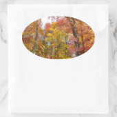 Orange- und Gelbfallbäume Herbstfotografie Ovaler Aufkleber (Tasche)