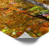Orange- und Gelbfallbäume Herbstfotografie Poster (Ecke)