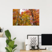 Orange- und Gelbfallbäume Herbstfotografie Poster (Heimbüro)