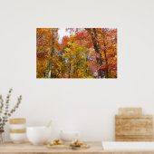 Orange- und Gelbfallbäume Herbstfotografie Poster (Küche)