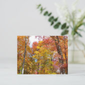 Orange- und Gelbfallbäume Herbstfotografie Postkarte (Stehend Vorderseite)