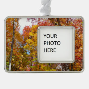 Orange- und Gelbfallbäume Herbstfotografie Rahmen-Ornament Silber