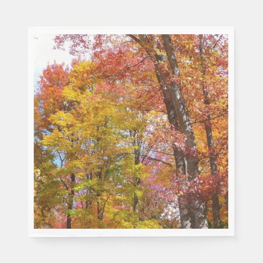 Orange- und Gelbfallbäume Herbstfotografie Serviette (Vorderseite)