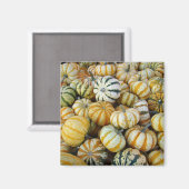 Orange und grüne Herbstgürtel Magnet (Vorderseite/Rückseite)