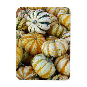 Orange und grüne Herbstgürtel Magnet