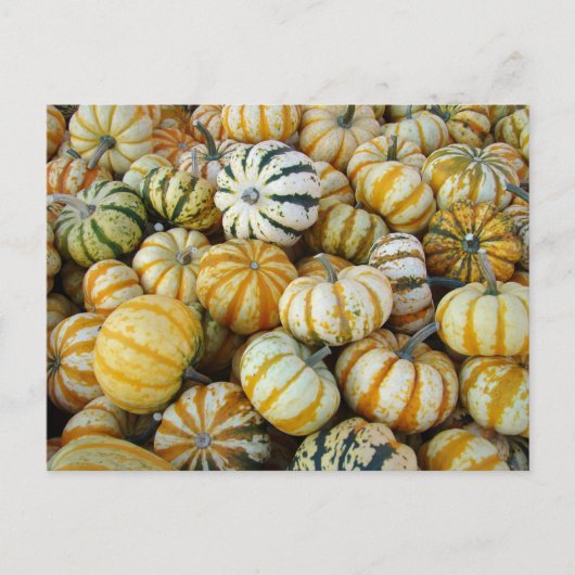 Orange und grüne Herbstgürtel Postkarte (Vorderseite)