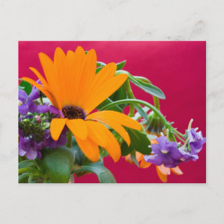 Orange und Lila Blume Thema Postkarte
