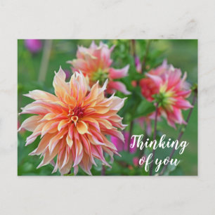 Orange und Pink Dahlia Blume Denken Sie an Sie Postkarte
