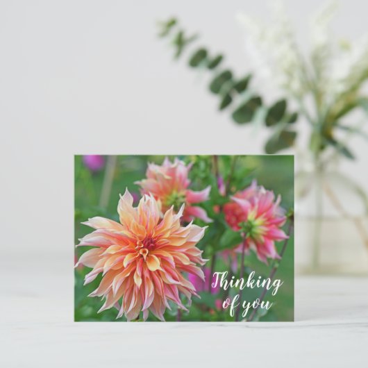 Orange und Pink Dahlia Blume Denken Sie an Sie Postkarte (Stehend Vorderseite)