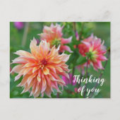 Orange und Pink Dahlia Blume Denken Sie an Sie Postkarte (Vorderseite)