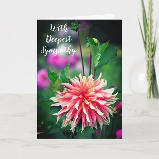 Orange und Pink Dahlia Blume W/ Deepest Beileid Dankeskarte (Vorderseite)