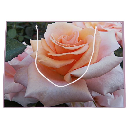 Orange und Rosa Rose Große Geschenktüte (Vorderseite)