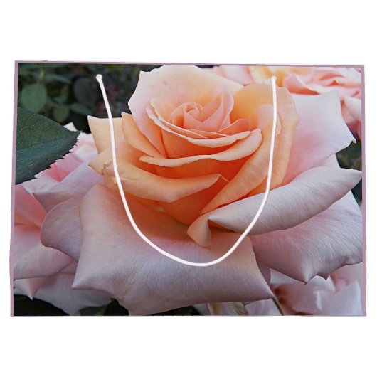 Orange und Rosa Rose Große Geschenktüte (Rückseite)