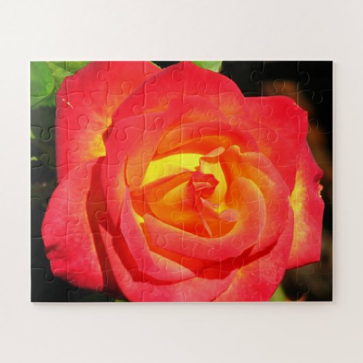 Orange und Rote Rose Nah Puzzle